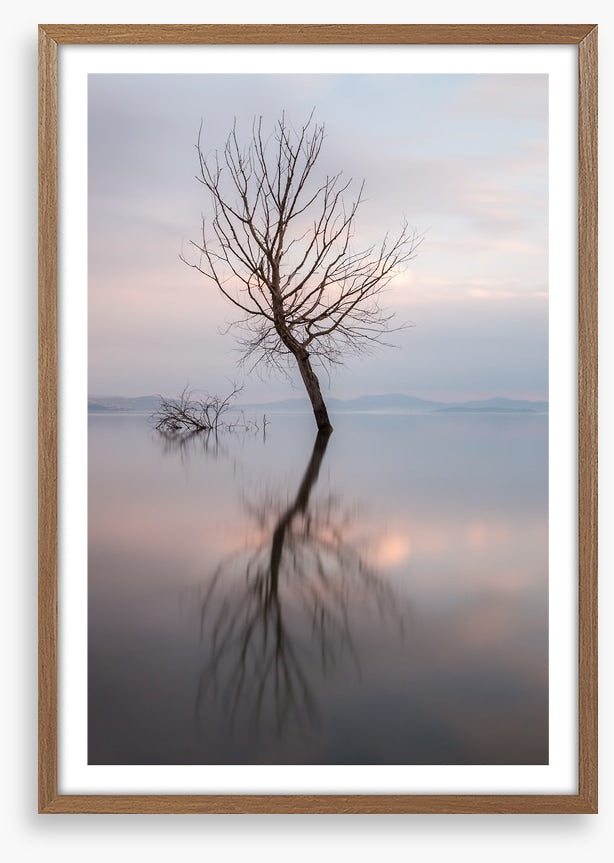 Lady of the lake