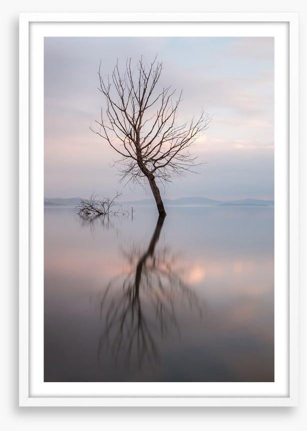 Lady of the lake