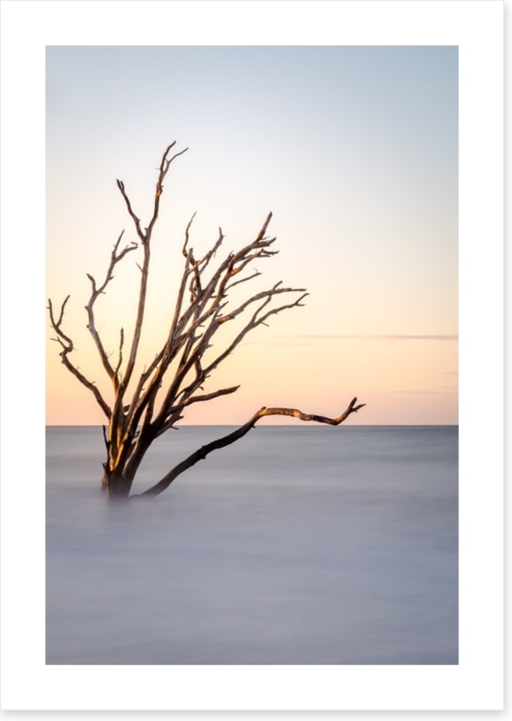 The skeleton tree