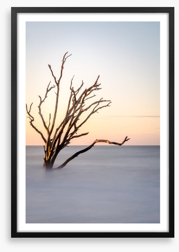 The skeleton tree