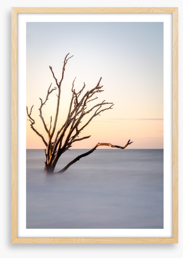 The skeleton tree