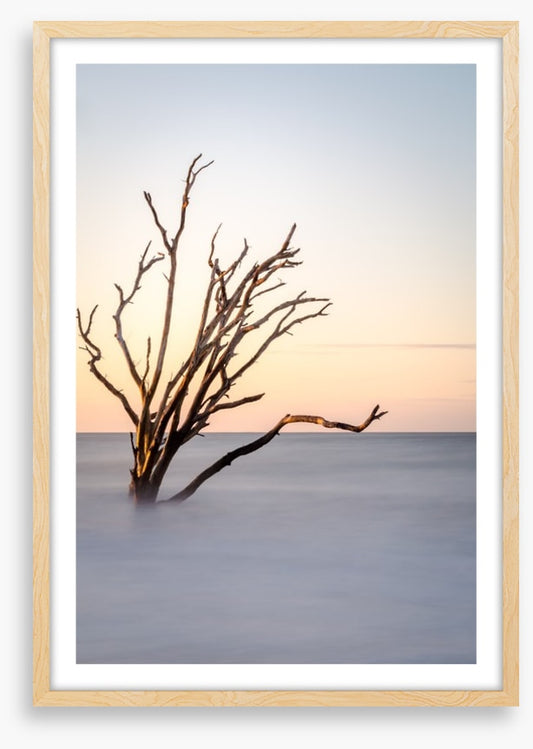 The skeleton tree