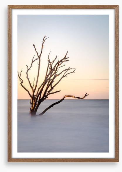 The skeleton tree