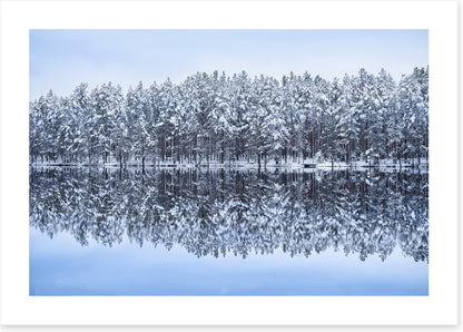Frosty forest reflections