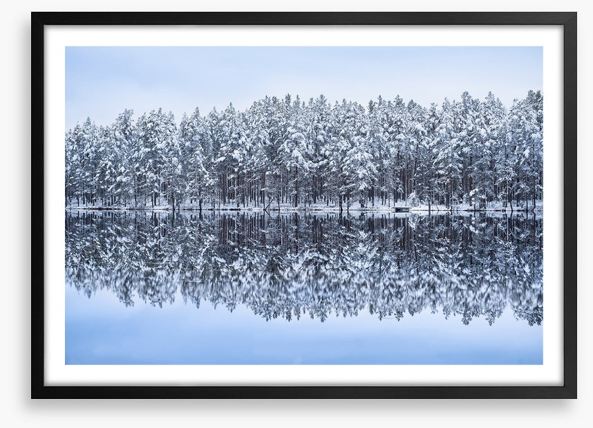 Frosty forest reflections
