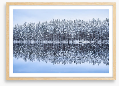 Frosty forest reflections