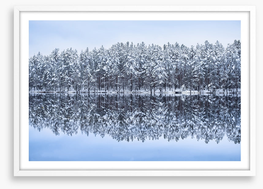 Frosty forest reflections