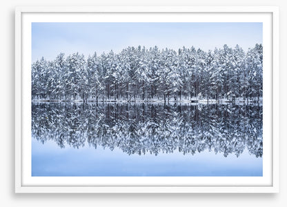 Frosty forest reflections
