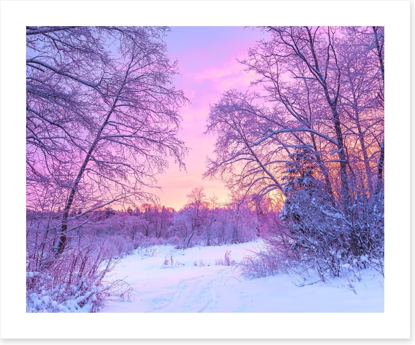 Snowfall sunrise
