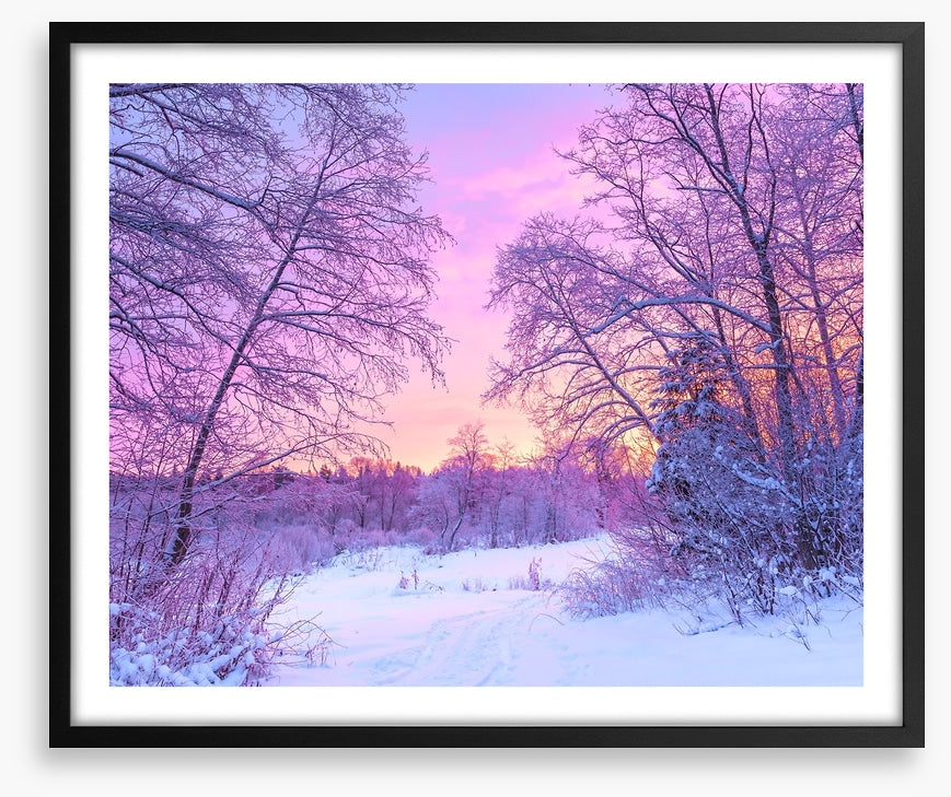 Snowfall sunrise
