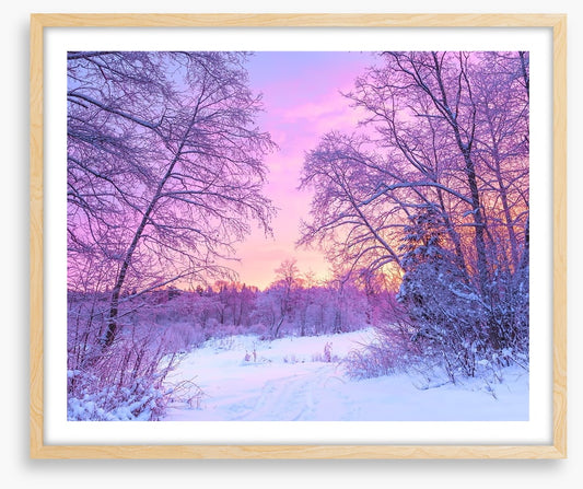 Snowfall sunrise