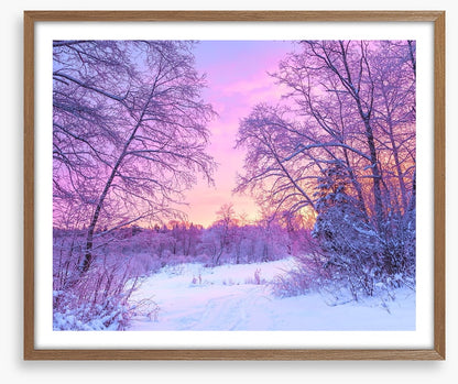 Snowfall sunrise