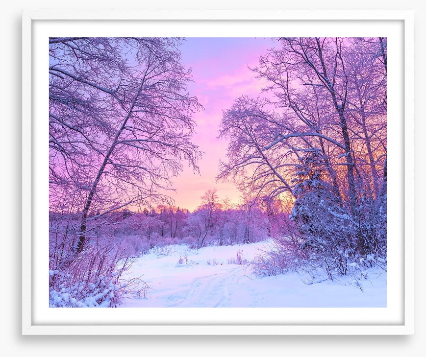 Snowfall sunrise