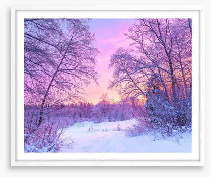 Snowfall sunrise
