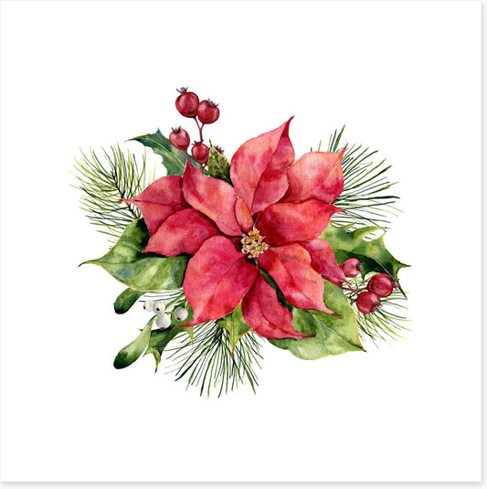 Red poinsettia