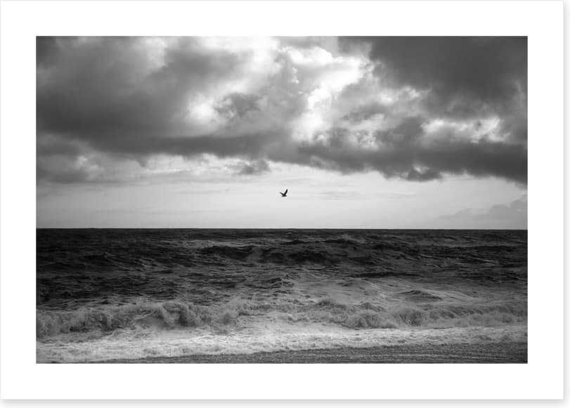 Stormy sea soar