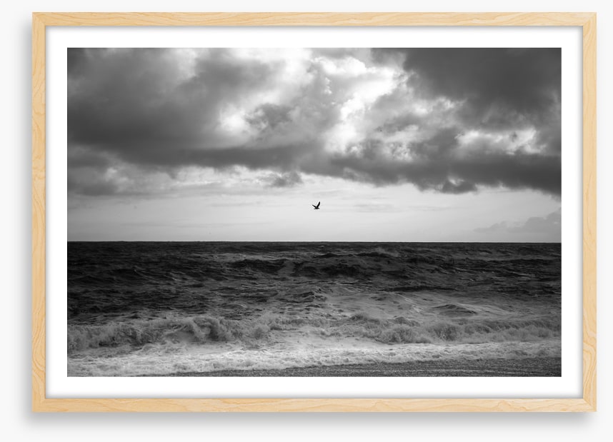 Stormy sea soar
