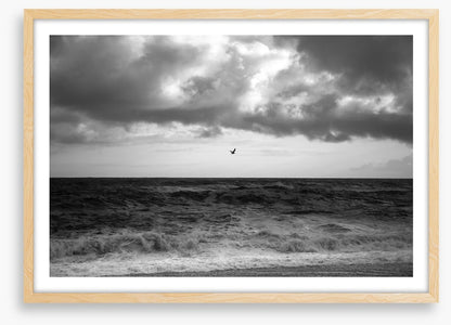 Stormy sea soar
