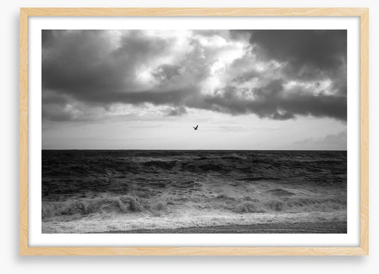 Stormy sea soar