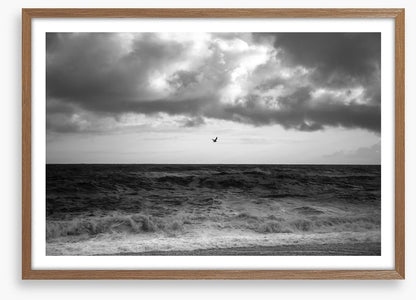 Stormy sea soar