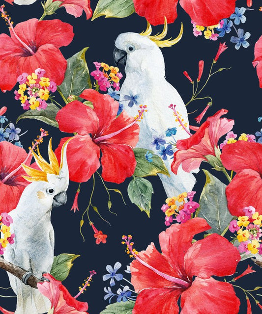 Hibiscus cockatoo