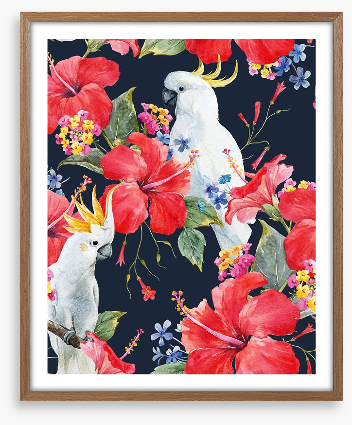 Hibiscus cockatoo
