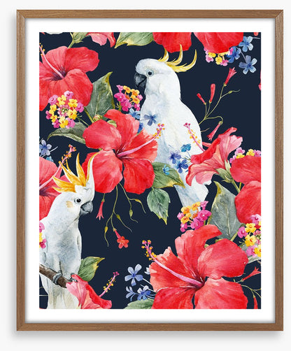 Hibiscus cockatoo