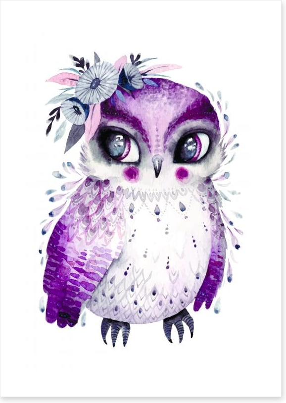 Little lady owlet