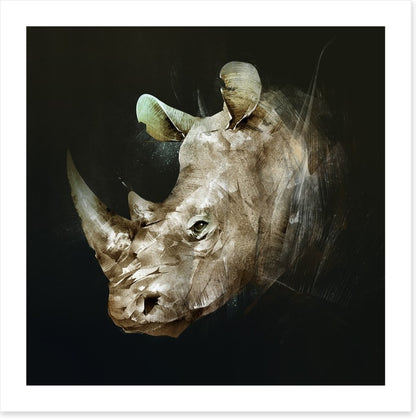 The African rhino
