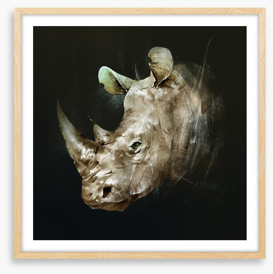 The African rhino