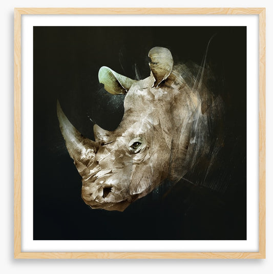 The African rhino