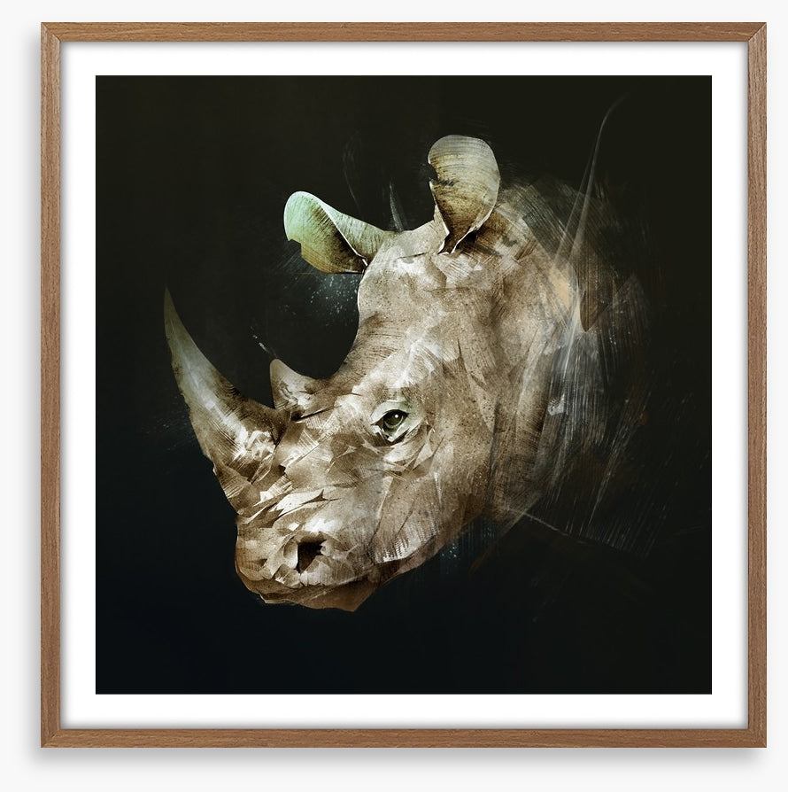 The African rhino