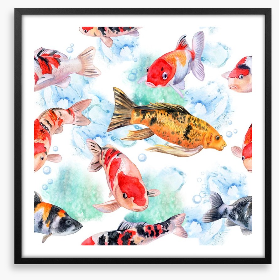 Swimming with the koi