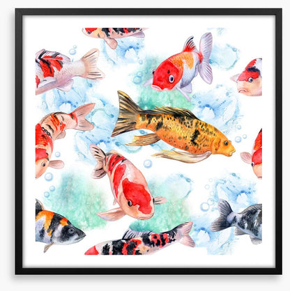 Swimming with the koi