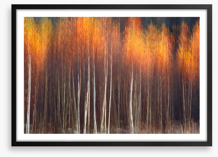 Flecks of fall