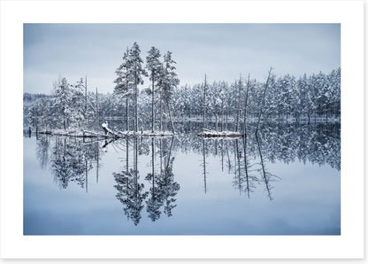 Frozen reflections