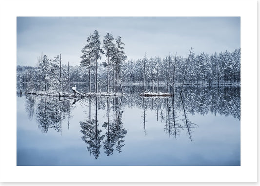 Frozen reflections