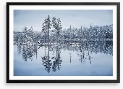 Frozen reflections