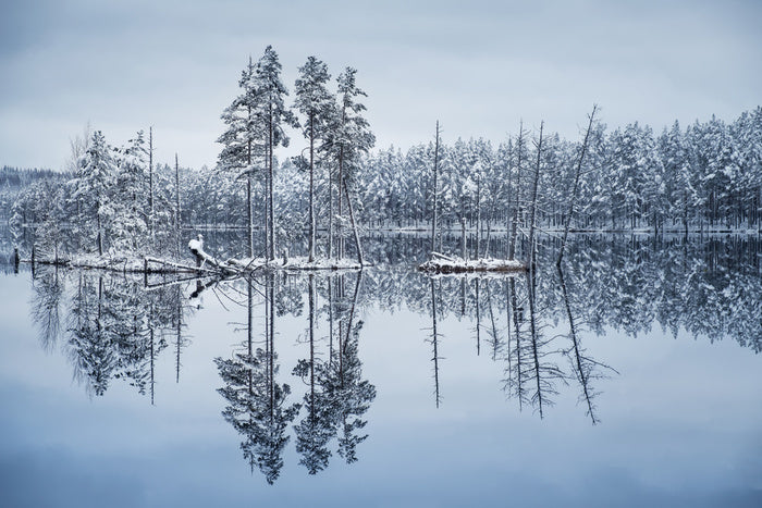 Frozen reflections