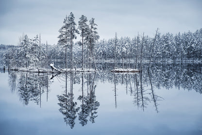 Frozen reflections