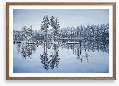 Frozen reflections