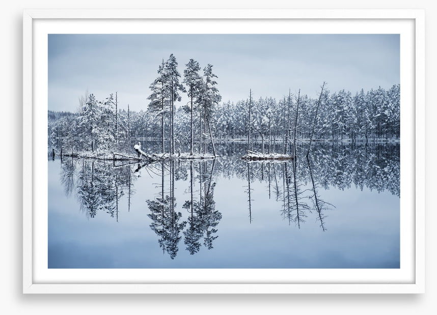 Frozen reflections