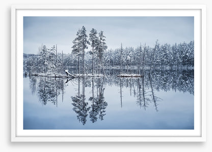 Frozen reflections