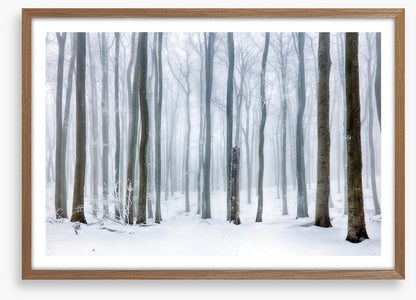 Snow forest stump