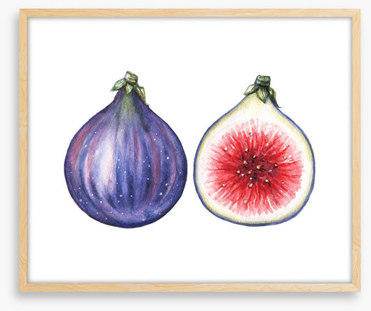 Half past fig