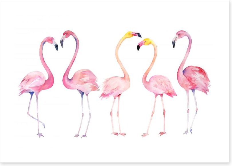 Fifth wheel flamingo
