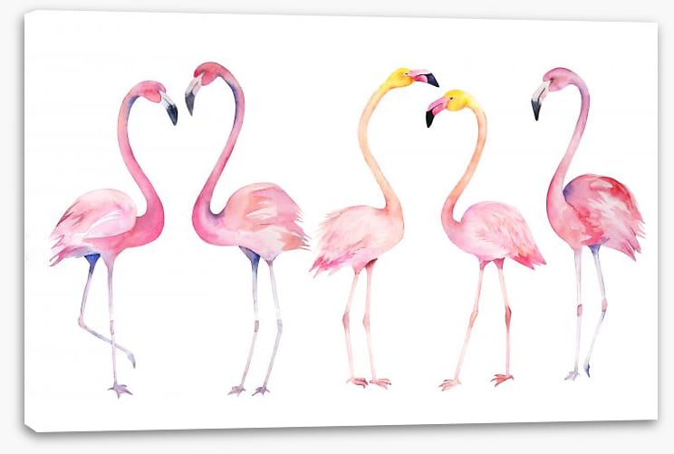 Fifth wheel flamingo