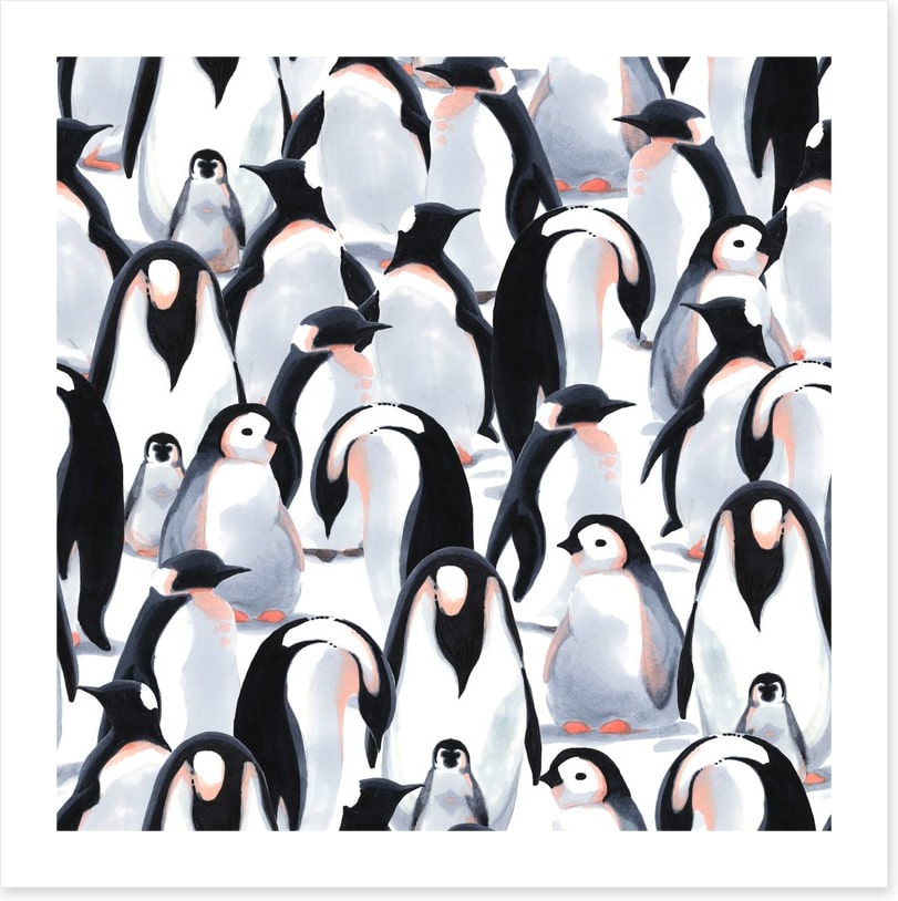 Penguin parade