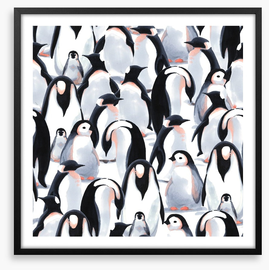 Penguin parade