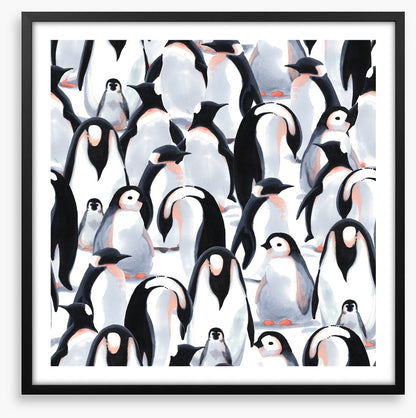 Penguin parade
